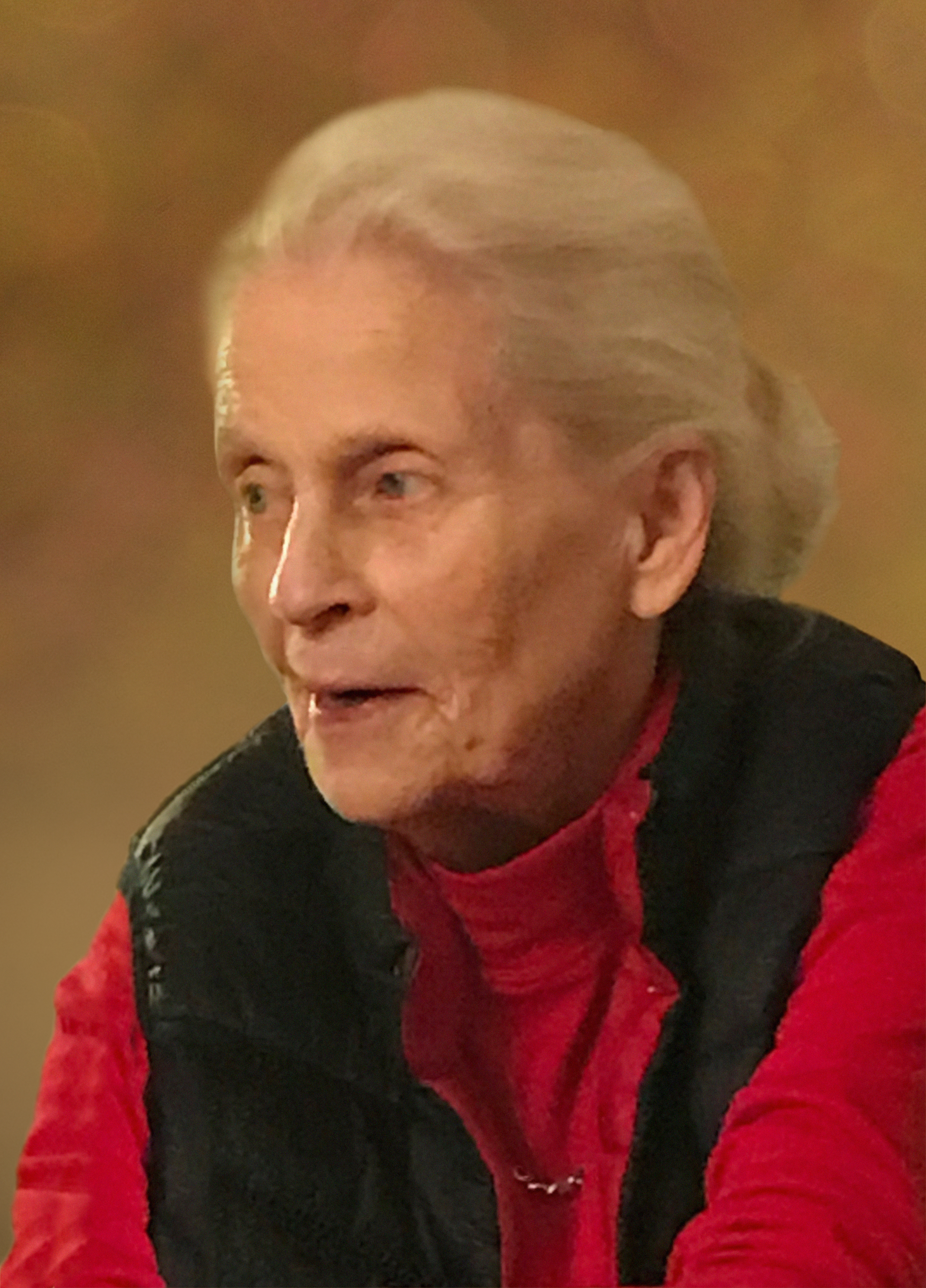 Heinrichs, Elli Lotta