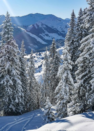 Hallwood, David John