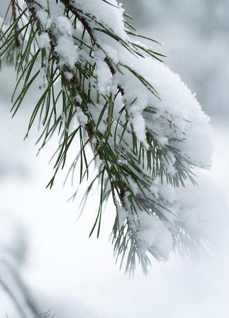 Niggemeier, Horst Josef